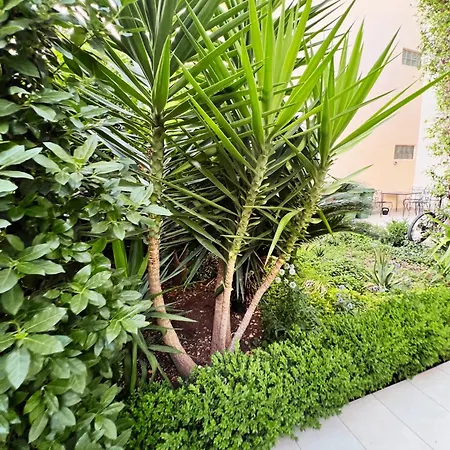 Front Apartment *